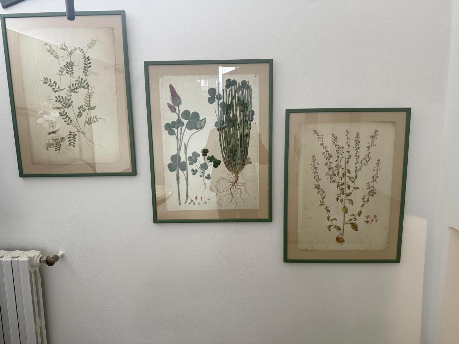 Nel Cuore Di Como Bagian luar foto